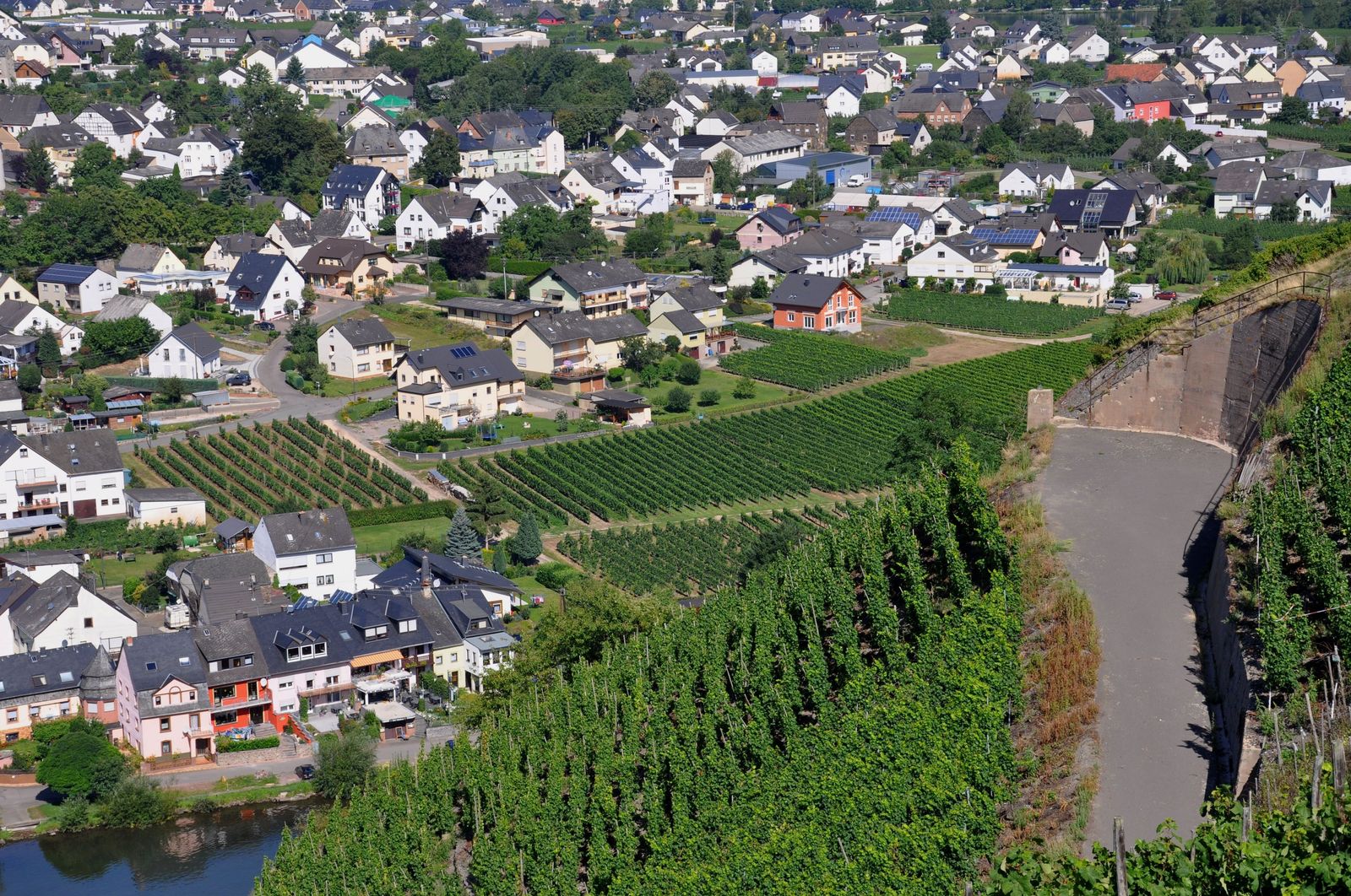 WRC-D 20-08-2010 007.jpg